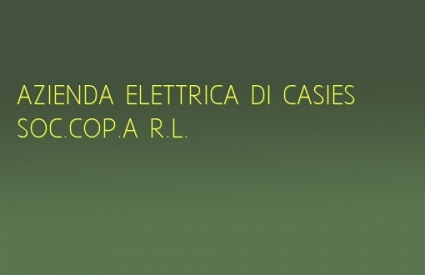 AZIENDA ELETTRICA DI CASIES SOC.COP.A R.L.