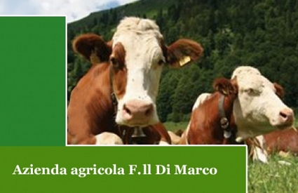 Azienda agricola F.ll Di Marco