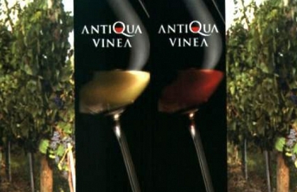 Antiqua Vinea
