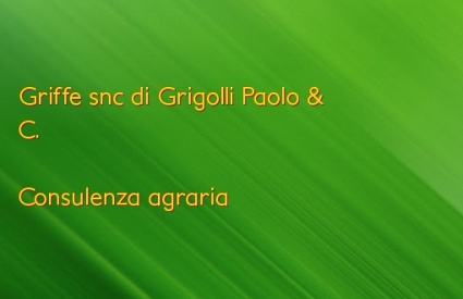 Griffe snc di Grigolli Paolo & C.