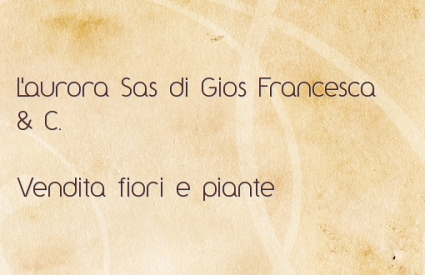 L'aurora Sas di Gios Francesca & C.