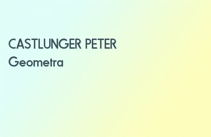 CASTLUNGER PETER