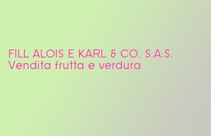 FILL ALOIS E KARL & CO. S.A.S.