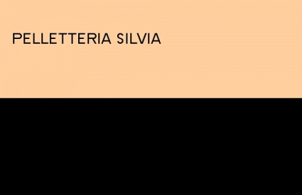 PELLETTERIA SILVIA