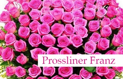 Prossliner Franz