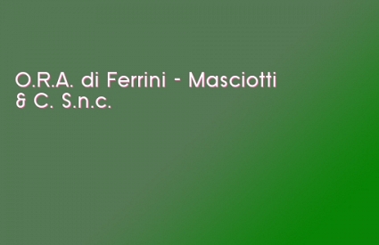 O.R.A. di Ferrini - Masciotti & C. S.n.c.