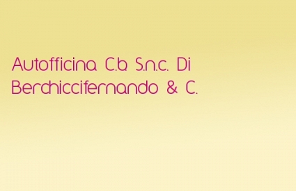 Autofficina C.b. S.n.c. Di Berchiccifernando & C.